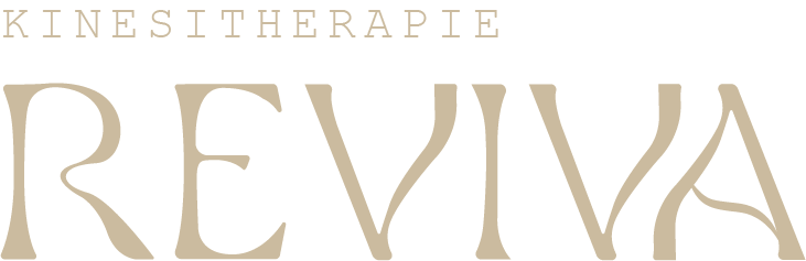 Kinesitherapie Reviva